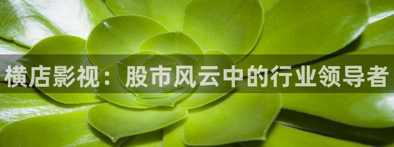 97超碰在线观