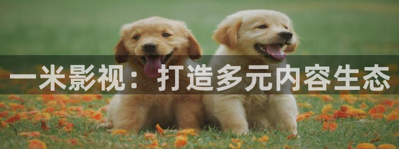 超碰观看：一米影视：打造多元内容生态