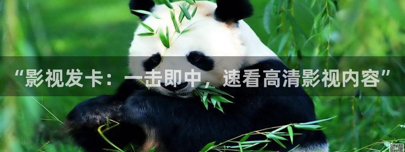 新超碰中文字幕
