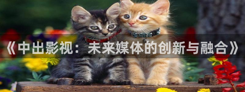 超碰在线有声小说