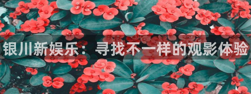 超级超碰在线观看：银川新娱乐：寻找不一样的观影体验